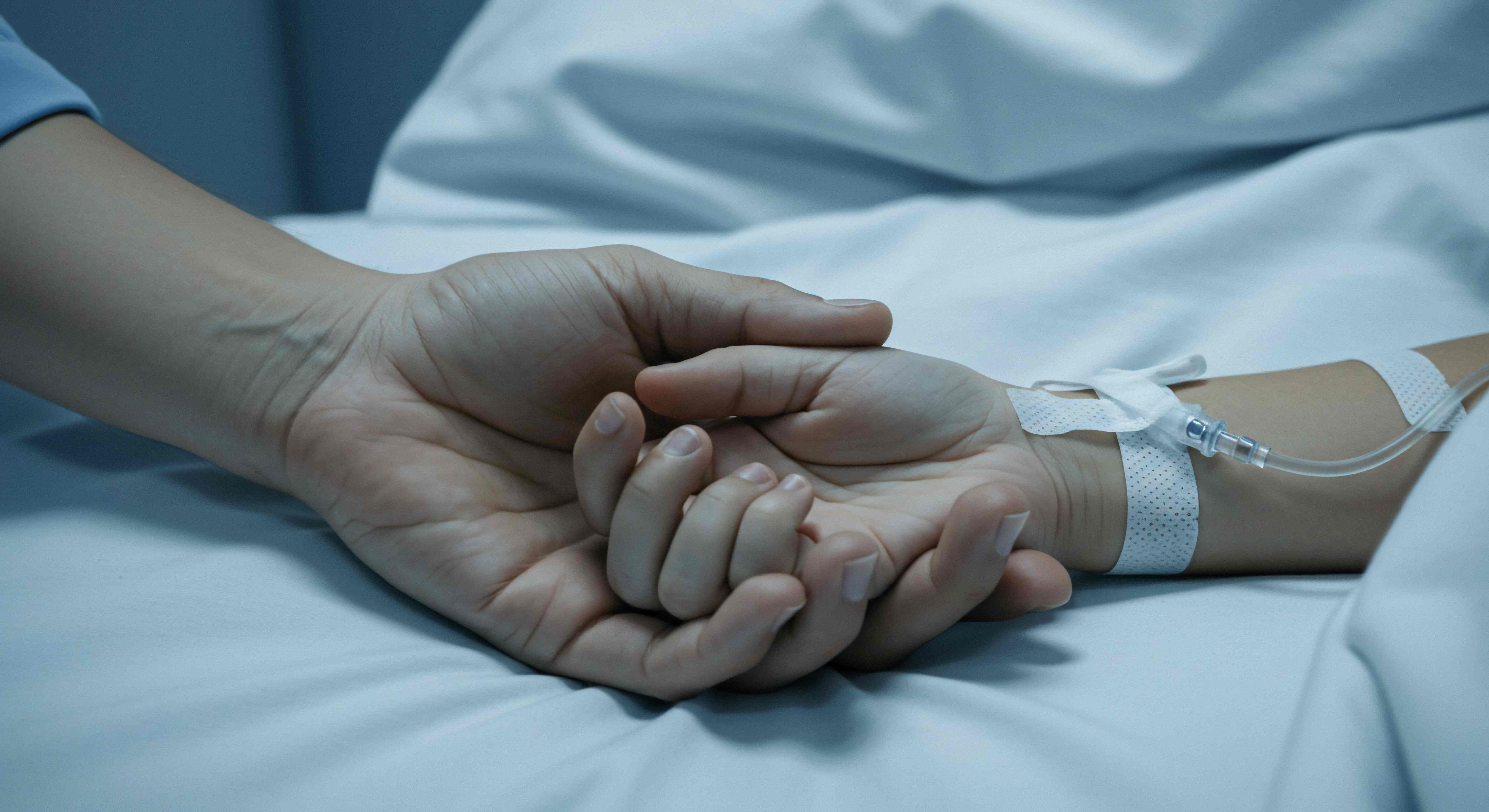 Ілюстрація документів і дослідження